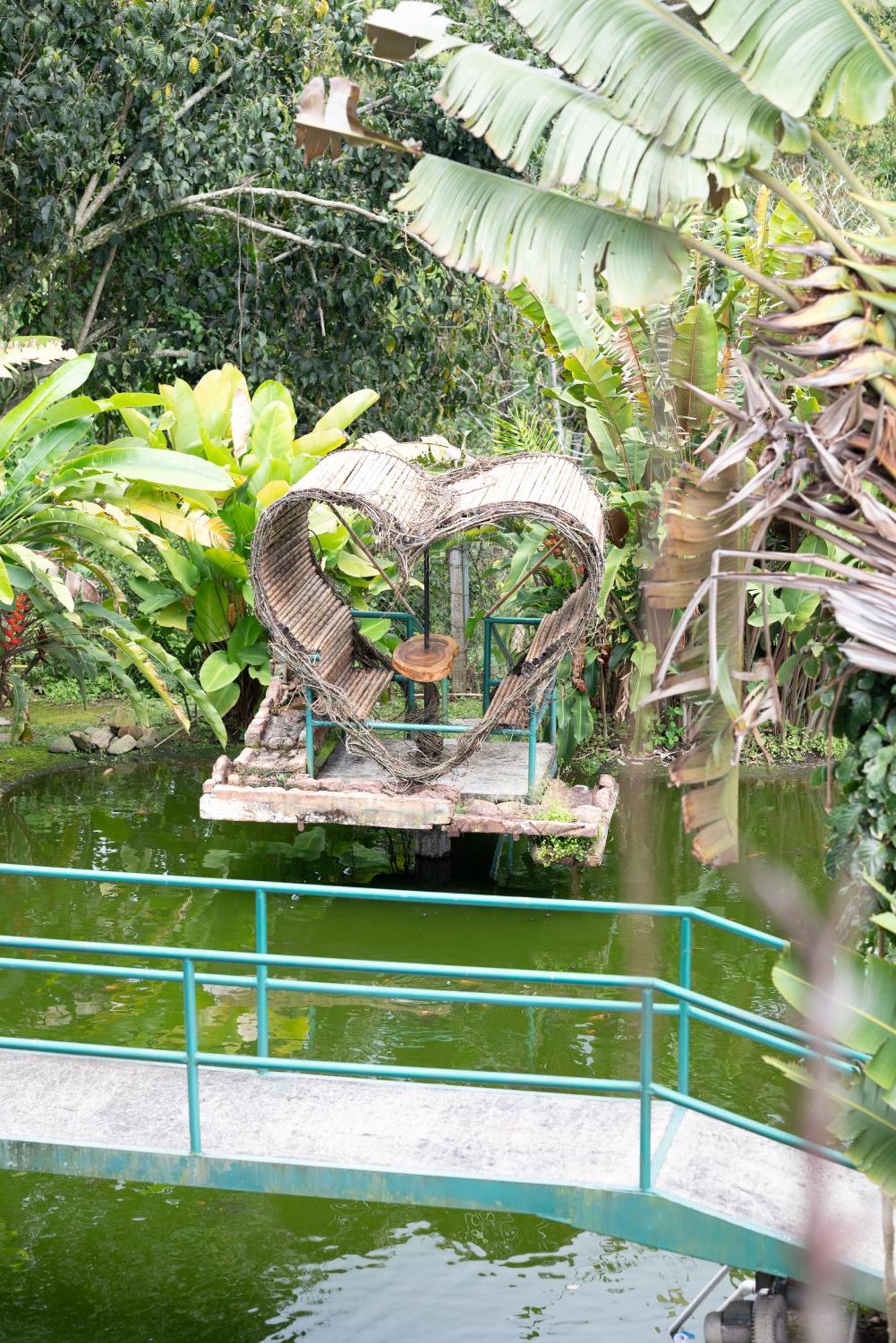 Hotel Pachamama Campestre Dosquebradas المظهر الخارجي الصورة